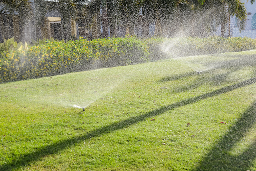 Coastal Irrigation shares how to irrigate during a dry winter in Southwest Florida